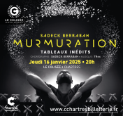 MURMURATION