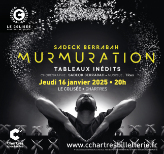 MURMURATION